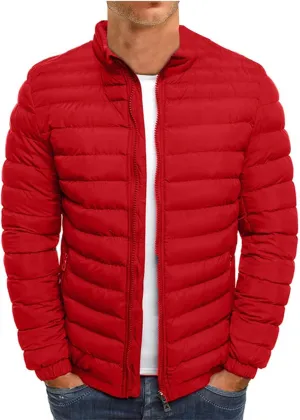 RTRDE Men's Winter Jackets Casual Windproof Down Jackets Zip Up Windbreaker Warm Padded Coats Jackets, M-2XL